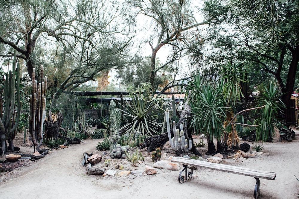 Desert Lodge Palm Springs Exteriér fotografie