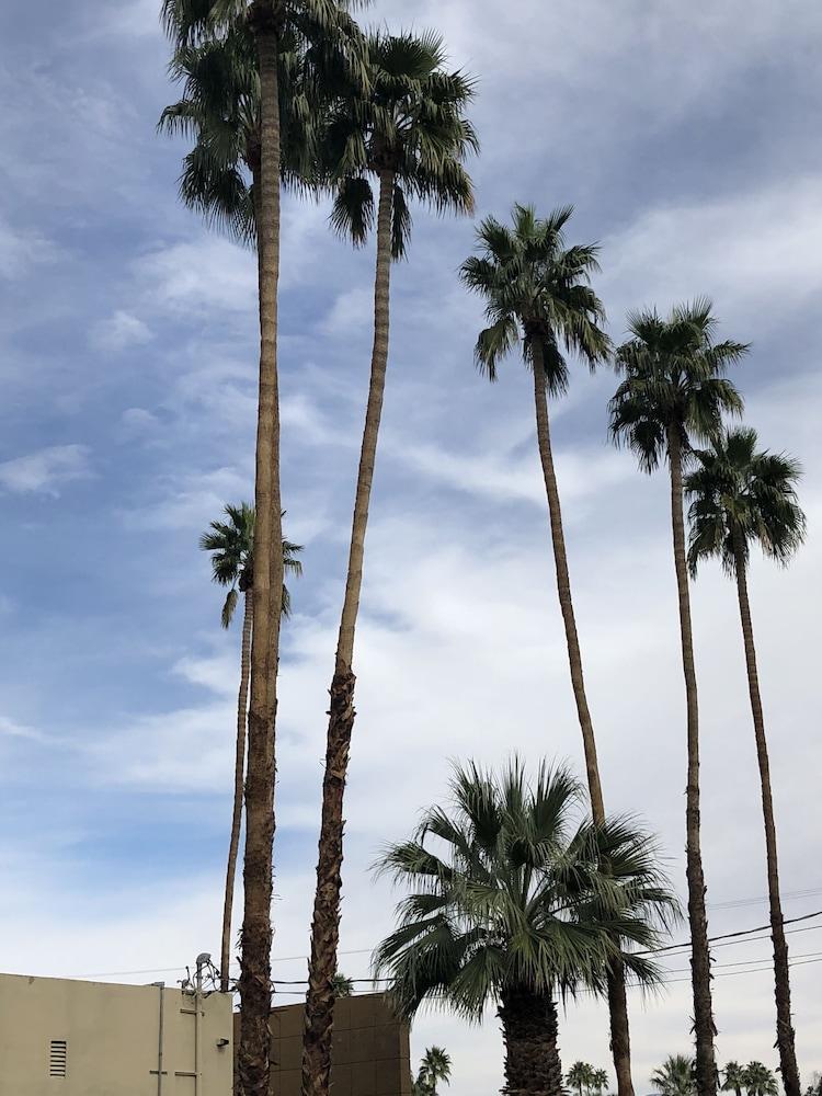 Desert Lodge Palm Springs Exteriér fotografie