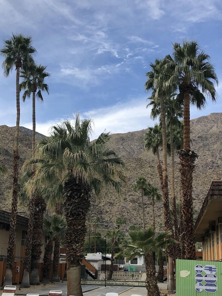 Desert Lodge Palm Springs Exteriér fotografie